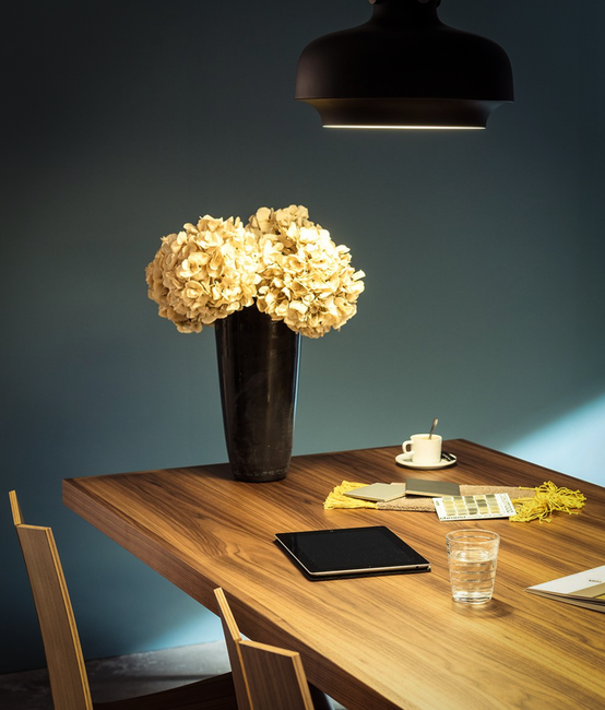 Shopware Shop mit Schnittstelle zu Navision