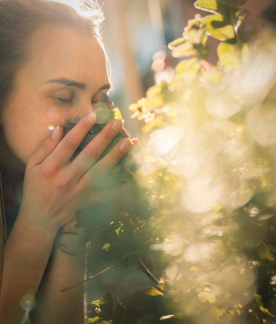 Shopware 6 Online Shop für Landolt Weine